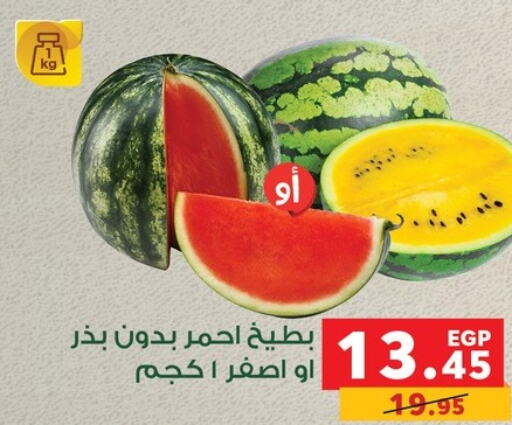 Watermelon  in بنده in Egypt - القاهرة