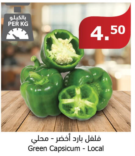  Chilli / Capsicum  in Al Raya in KSA, Saudi Arabia, Saudi - Abha