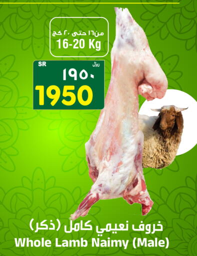  Mutton / Lamb  in المدينة هايبرماركت in مملكة العربية السعودية, السعودية, سعودية - الرياض