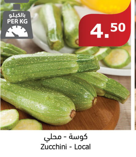  Zucchini  in Al Raya in KSA, Saudi Arabia, Saudi - Al Bahah