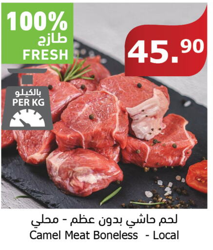  Camel meat  in Al Raya in KSA, Saudi Arabia, Saudi - Tabuk