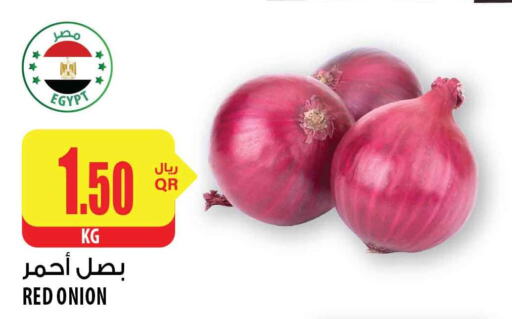  Onion  in شركة الميرة للمواد الاستهلاكية in قطر - الشحانية