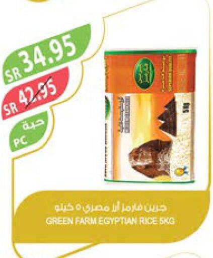  Egyptian / Calrose Rice  in Farm  in KSA, Saudi Arabia, Saudi - Yanbu