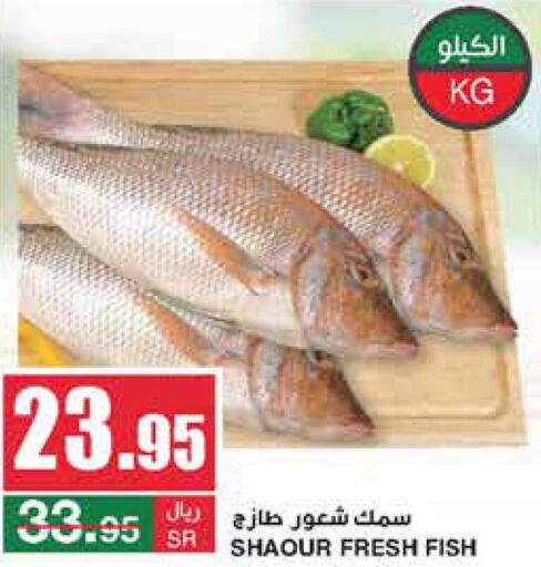  King Fish  in سـبـار in مملكة العربية السعودية, السعودية, سعودية - الرياض