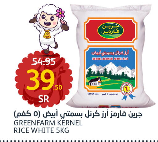  Basmati / Biryani Rice  in AlJazera Shopping Center in KSA, Saudi Arabia, Saudi - Riyadh