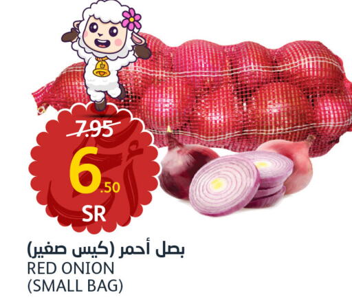  Onion  in مركز الجزيرة للتسوق in مملكة العربية السعودية, السعودية, سعودية - الرياض
