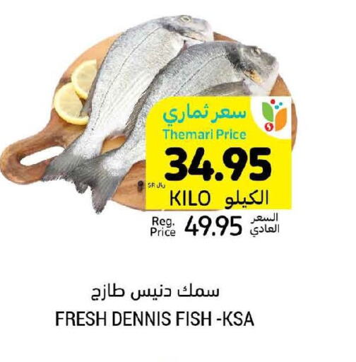  King Fish  in أسواق التميمي in مملكة العربية السعودية, السعودية, سعودية - الخبر‎