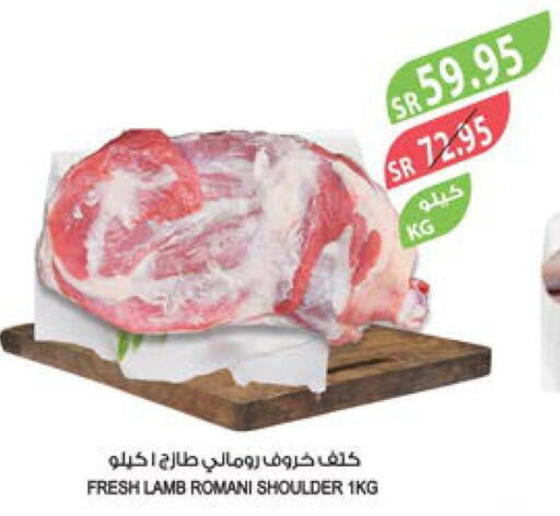  Mutton / Lamb  in Farm  in KSA, Saudi Arabia, Saudi - Riyadh
