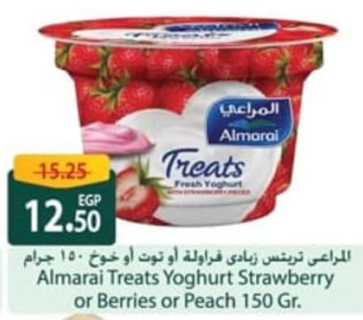 ALMARAI Yoghurt  in سبينس in Egypt - القاهرة