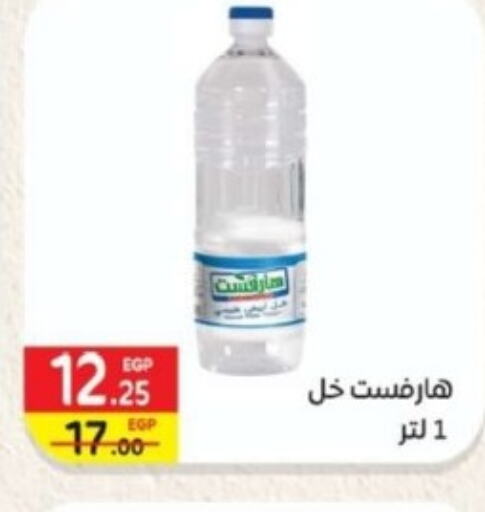  Vinegar  in Bashayer hypermarket in Egypt - Cairo