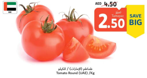  Tomato  in تعاونية الاتحاد in الإمارات العربية المتحدة , الامارات - الشارقة / عجمان