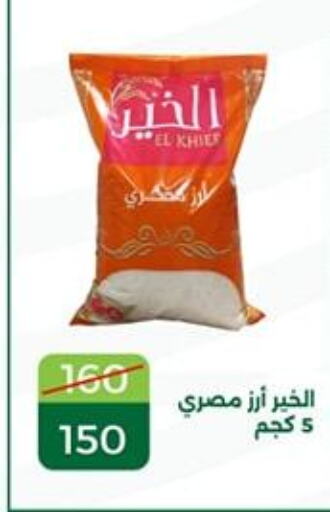  Egyptian / Calrose Rice  in Green Tree Hypermarket - Sohag in Egypt - Cairo
