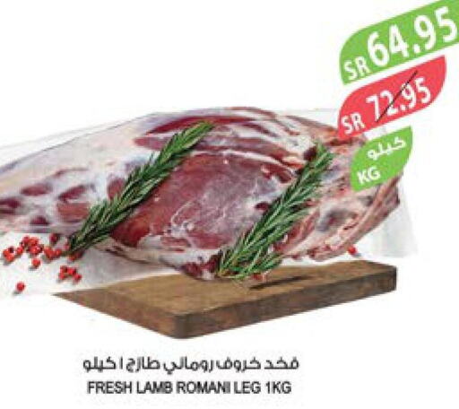  Mutton / Lamb  in المزرعة in مملكة العربية السعودية, السعودية, سعودية - سيهات