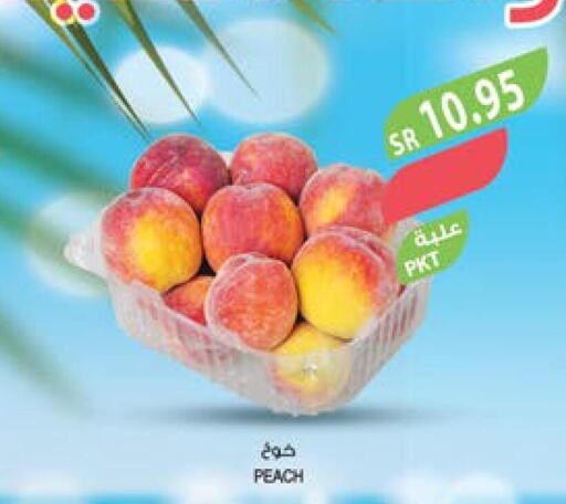  Peach  in Farm  in KSA, Saudi Arabia, Saudi - Al Bahah