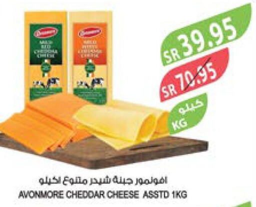  Cheddar Cheese  in المزرعة in مملكة العربية السعودية, السعودية, سعودية - الباحة