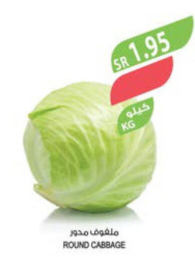  Cabbage  in المزرعة in مملكة العربية السعودية, السعودية, سعودية - سيهات
