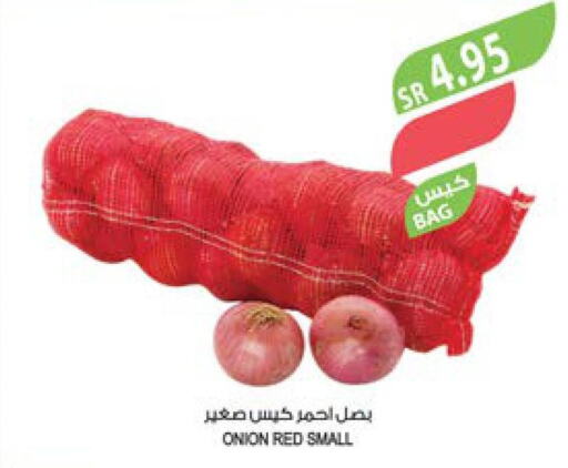  Onion  in Farm  in KSA, Saudi Arabia, Saudi - Jazan