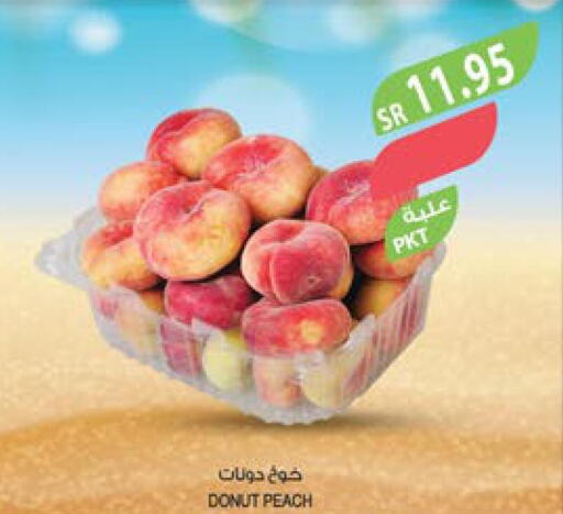  Peach  in Farm  in KSA, Saudi Arabia, Saudi - Al Bahah
