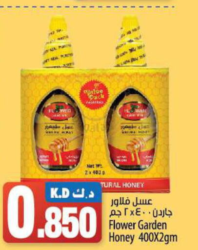  Honey  in مانجو هايبرماركت in الكويت - مدينة الكويت