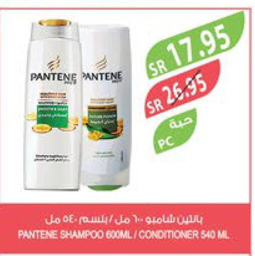 PANTENE Shampoo / Conditioner  in Farm  in KSA, Saudi Arabia, Saudi - Yanbu