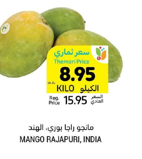 Mango Mango  in Tamimi Market in KSA, Saudi Arabia, Saudi - Khafji