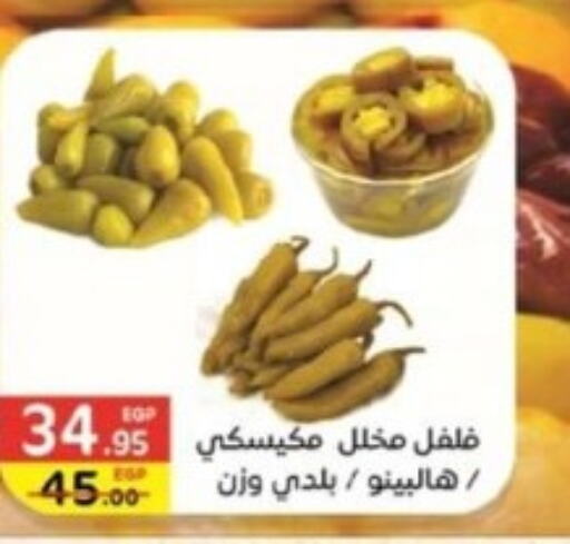  Spices / Masala  in Bashayer hypermarket in Egypt - Cairo