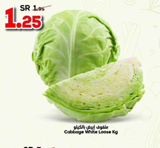  Cabbage  in Dukan in Saudi Arabia