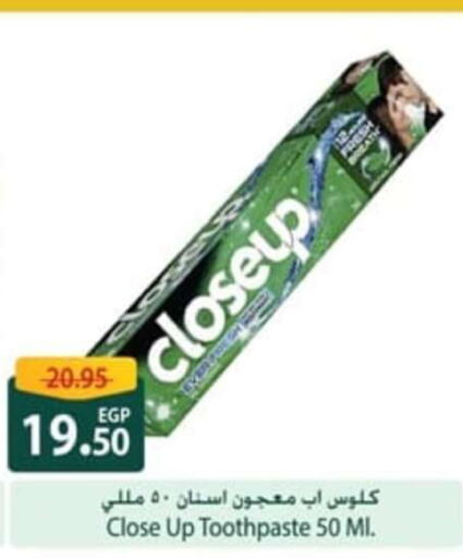 CLOSE UP Toothpaste  in سبينس in Egypt - القاهرة