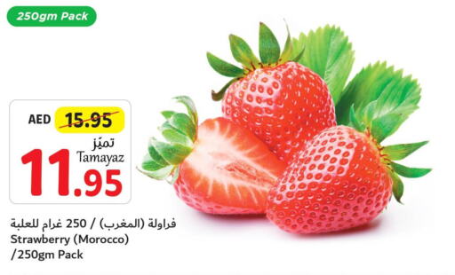  Watermelon  in تعاونية الاتحاد in الإمارات العربية المتحدة , الامارات - أبو ظبي