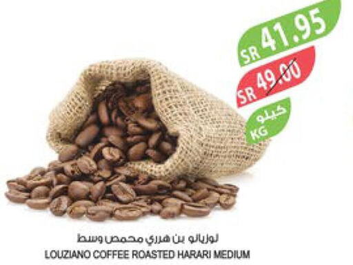  Coffee  in Farm  in KSA, Saudi Arabia, Saudi - Sakaka