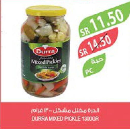 DURRA Pickle  in Farm  in KSA, Saudi Arabia, Saudi - Al Bahah