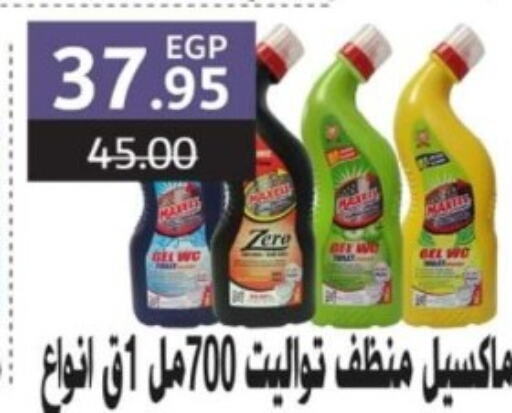  General Cleaner  in Bashayer hypermarket in Egypt - Cairo