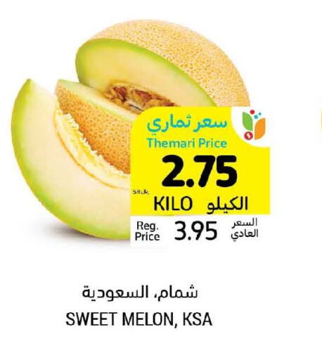  Sweet melon  in Tamimi Market in KSA, Saudi Arabia, Saudi - Al Hasa