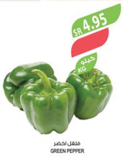  Chilli / Capsicum  in المزرعة in مملكة العربية السعودية, السعودية, سعودية - الخبر‎