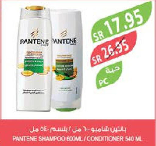 PANTENE Shampoo / Conditioner  in Farm  in KSA, Saudi Arabia, Saudi - Qatif