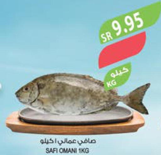  Tuna  in المزرعة in مملكة العربية السعودية, السعودية, سعودية - سكاكا