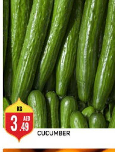  Cucumber  in مركز النخيل هايبرماركت in الإمارات العربية المتحدة , الامارات - الشارقة / عجمان