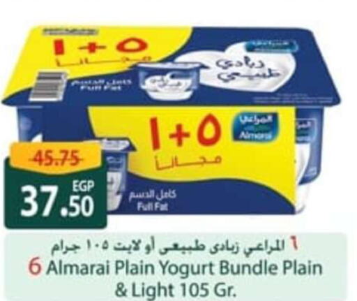 ALMARAI Yoghurt  in سبينس in Egypt - القاهرة