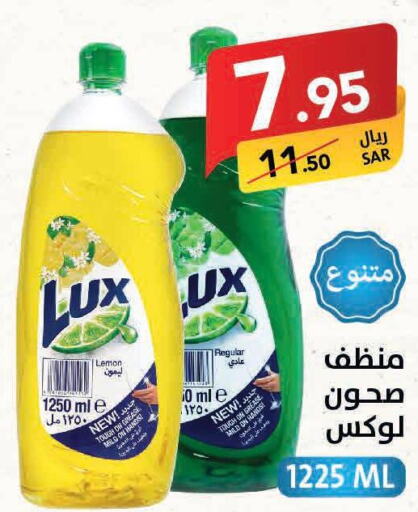 LUX   in Ala Kaifak in KSA, Saudi Arabia, Saudi - Al-Kharj