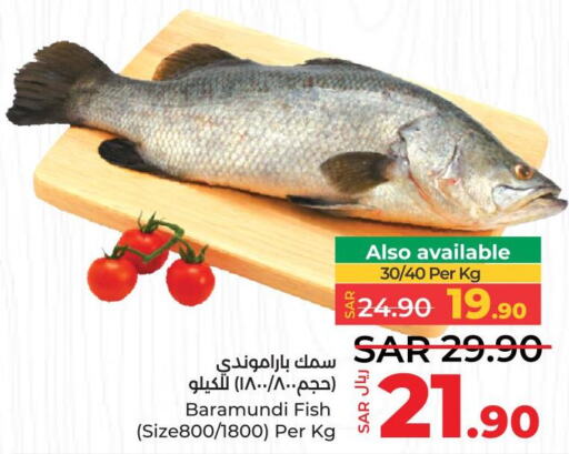  King Fish  in LULU Hypermarket in KSA, Saudi Arabia, Saudi - Al-Kharj