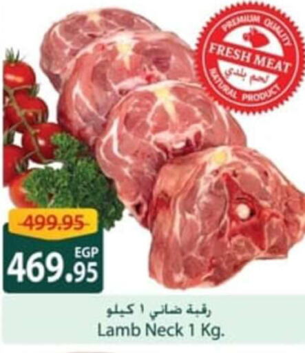  Mutton / Lamb  in Spinneys  in Egypt - Cairo