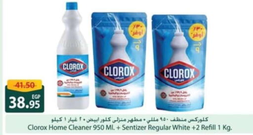 CLOROX General Cleaner  in Spinneys  in Egypt - Cairo