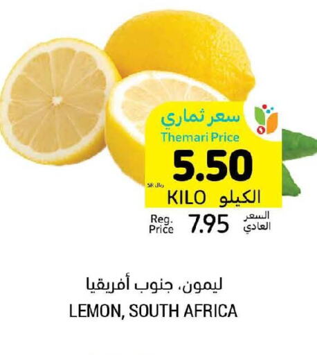  Berries  in أسواق التميمي in مملكة العربية السعودية, السعودية, سعودية - المنطقة الشرقية