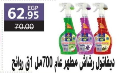  Disinfectant  in Bashayer hypermarket in Egypt - Cairo