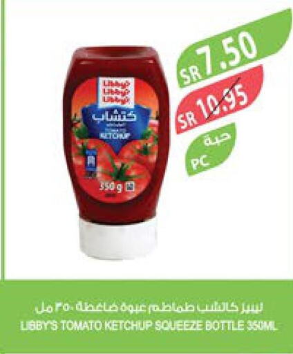 Tomato Ketchup  in Farm  in KSA, Saudi Arabia, Saudi - Yanbu