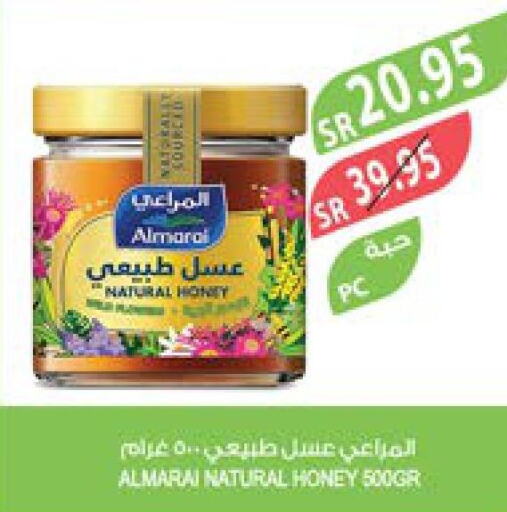 ALMARAI Honey  in Farm  in KSA, Saudi Arabia, Saudi - Jazan