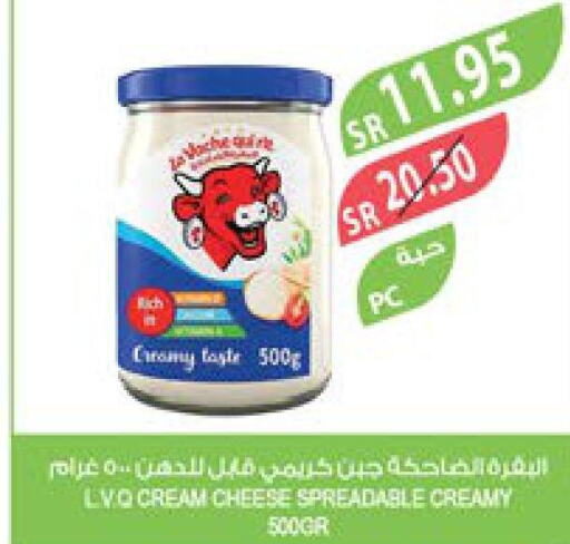LAVACHQUIRIT Cream Cheese  in Farm  in KSA, Saudi Arabia, Saudi - Yanbu