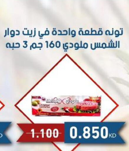  Tuna - Canned  in Al Siddeeq Co-operative Association in Kuwait - Kuwait City