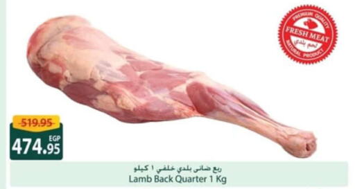  Mutton / Lamb  in Spinneys  in Egypt - Cairo