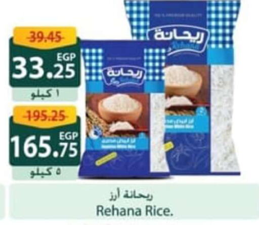  Basmati / Biryani Rice  in سبينس in Egypt - القاهرة